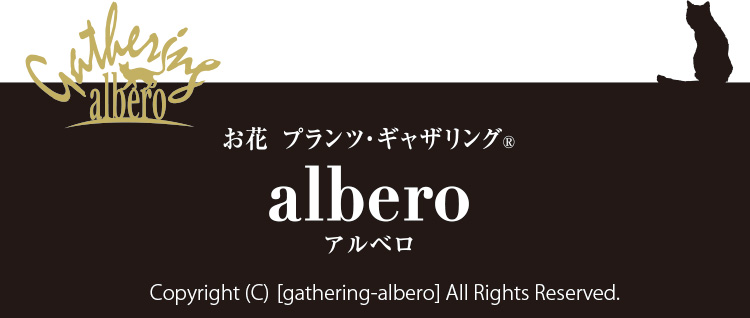 © [gathering-albero] All Rights Reserved.